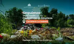 ECO5RD inicia operativo de limpieza en la carretera La Isabela, en Pantoja